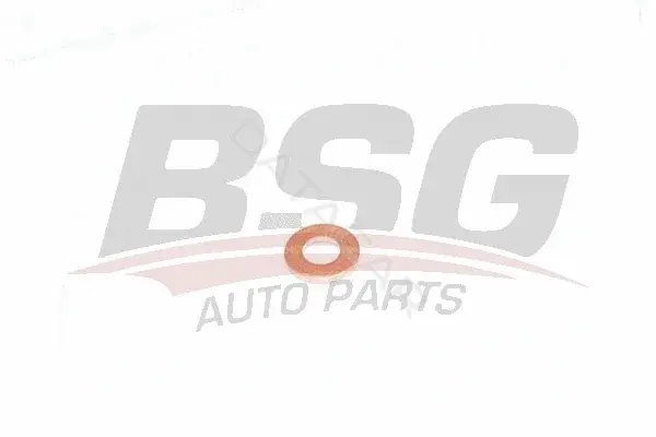 Шайба пламягасящая BSG BSG30-995-049