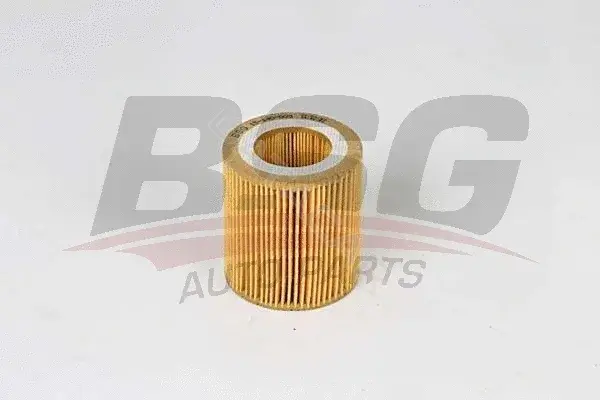 Масляный фильтр BSG BSG15-140-003