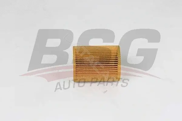 Масляный фильтр BSG BSG15-140-004