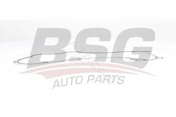Прокладка масляного радиатора BSG BSG65-116-003