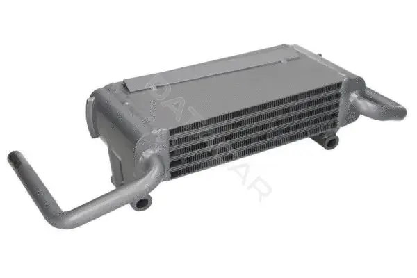 Масляный радиатор двигателя THERMOTEC D4AG021TT