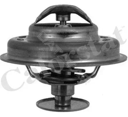 Термостат VERNET-CALORSTAT TH4945.89J