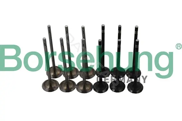Впускной клапан Borsehung B19160