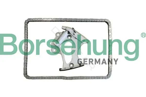 Комплект цепи ГРМ Borsehung B10249