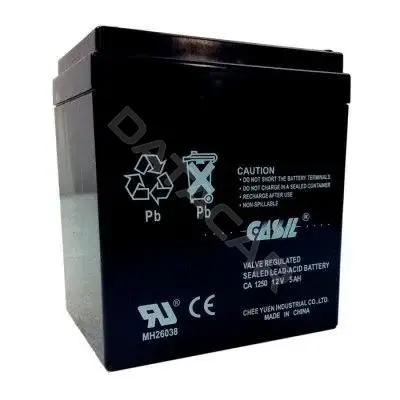 Аккумуляторы и батарейки CASIL CA1250