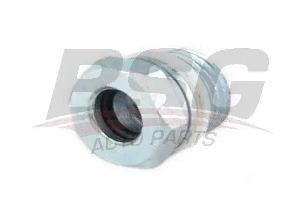 Шланг гидроусилителя BSG BSG30-725-048
