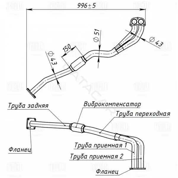 Глушитель выхлопных газов TRIALLI ERP0502