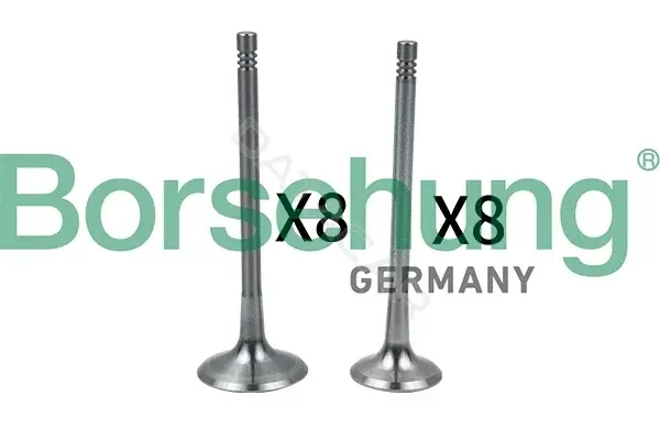 Впускной клапан Borsehung B18634