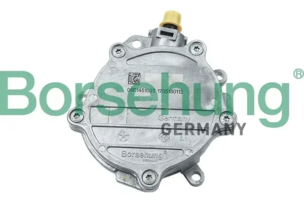 Вакуумный насос Borsehung B18772