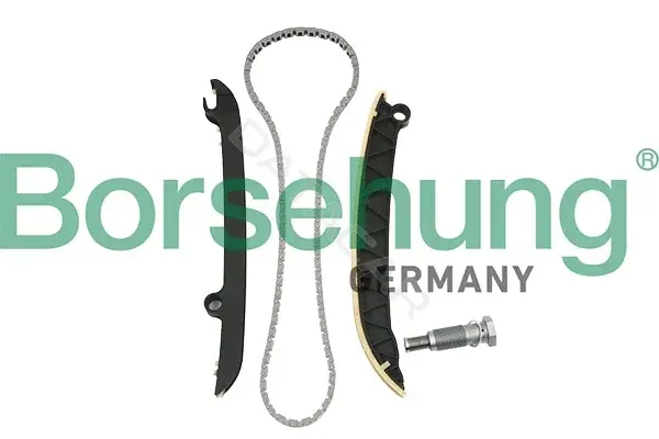 Комплект цепи ГРМ Borsehung B18843
