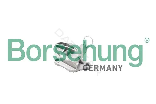 Ролик ГРМ Borsehung B1T003