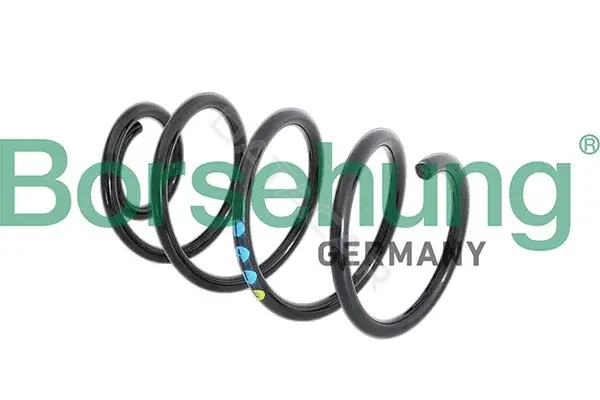 Пружины Borsehung B11086