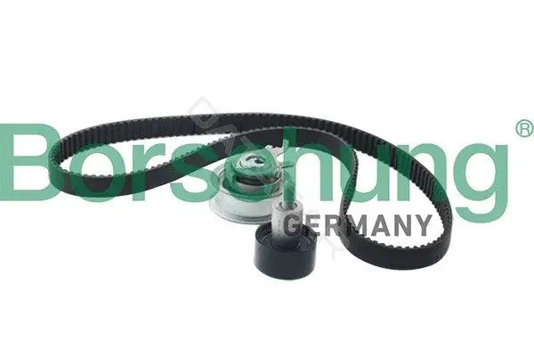 Комплект ГРМ Borsehung B10210