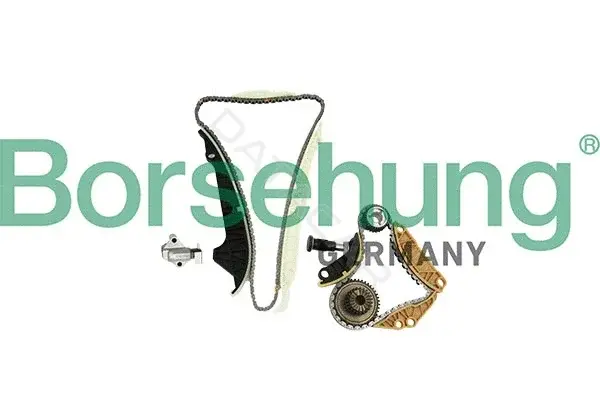 Комплект цепи ГРМ Borsehung B10220