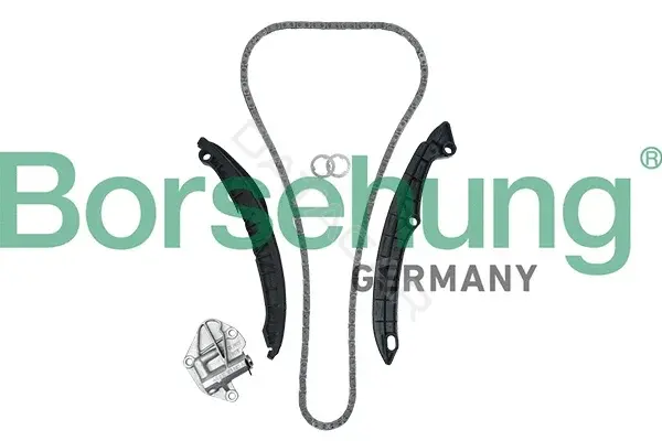 Комплект цепи ГРМ Borsehung B19229