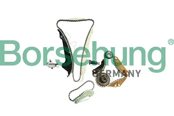 Комплект цепи ГРМ Borsehung B19254