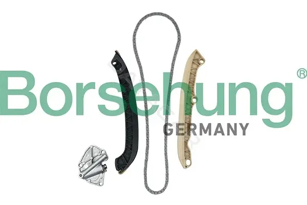 Комплект цепи ГРМ Borsehung B19255