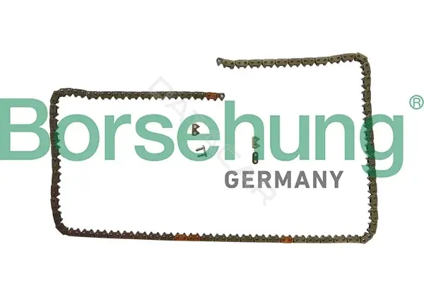 Цепь грм Borsehung B1C031