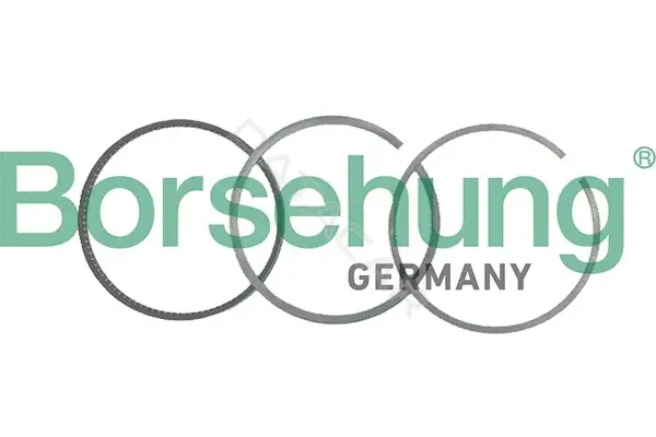 Кольца поршневые Borsehung B19039
