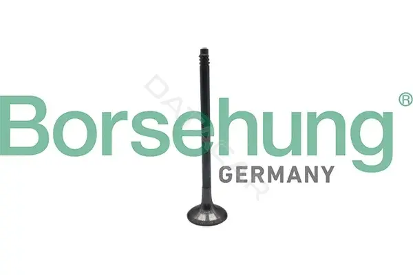 Выпускной клапан Borsehung B10324