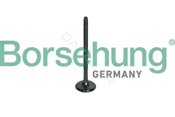 Выпускной клапан Borsehung B10326