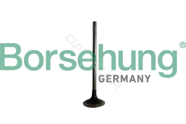 Выпускной клапан Borsehung B10329