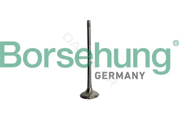 Выпускной клапан Borsehung B10335