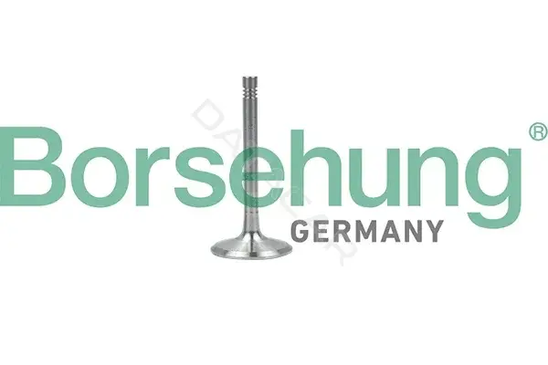 Выпускной клапан Borsehung B19001