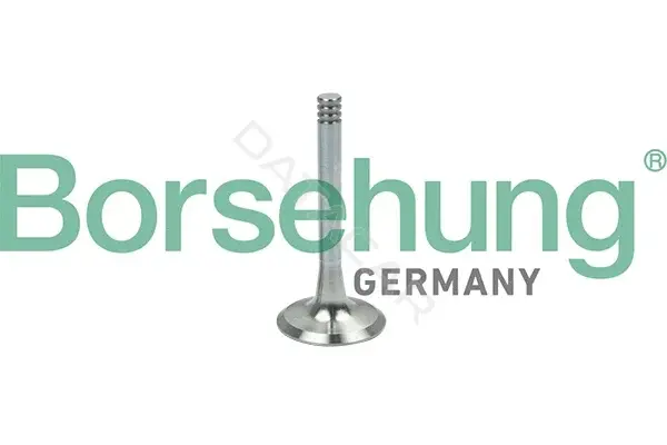 Выпускной клапан Borsehung B19002
