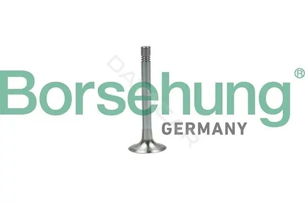 Выпускной клапан Borsehung B19003