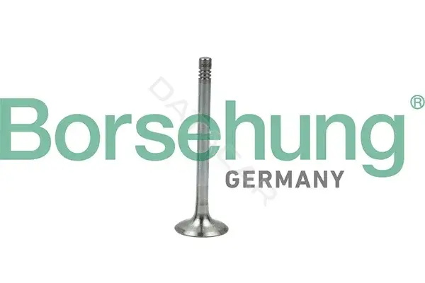 Выпускной клапан Borsehung B19005