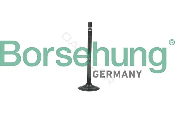 Выпускной клапан Borsehung B19006