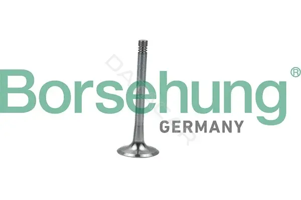 Выпускной клапан Borsehung B19008