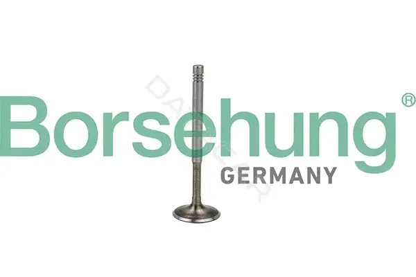 Выпускной клапан Borsehung B19009