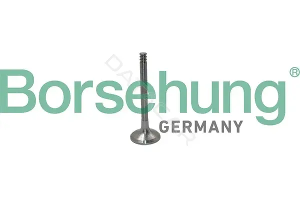 Выпускной клапан Borsehung B19012