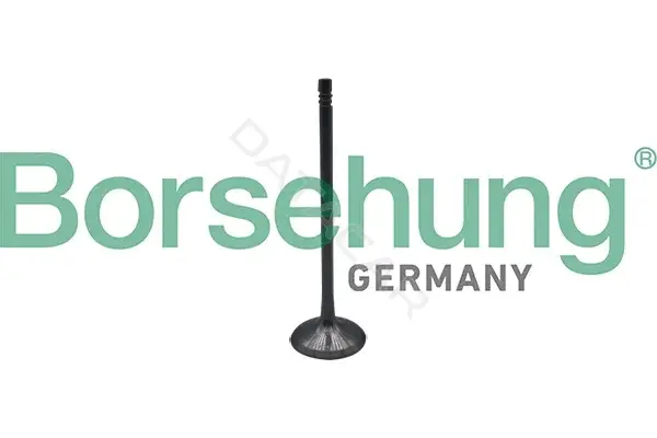 Впускной клапан Borsehung B10323