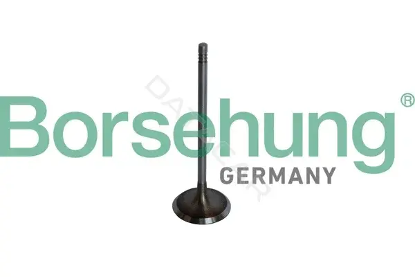 Впускной клапан Borsehung B10325