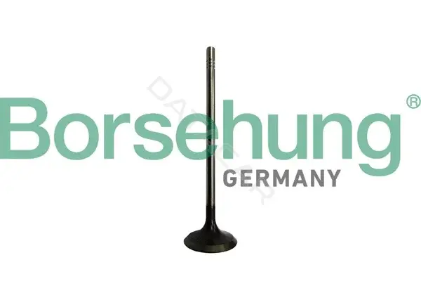 Впускной клапан Borsehung B10328