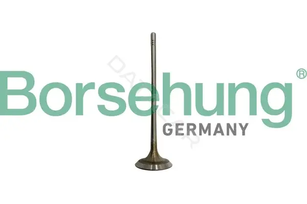 Впускной клапан Borsehung B10332