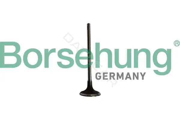 Впускной клапан Borsehung B10334