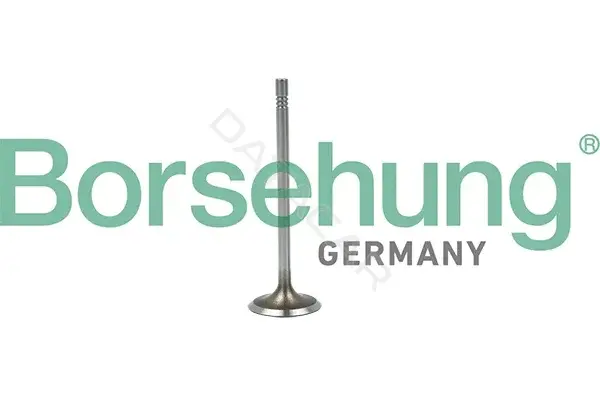 Впускной клапан Borsehung B19015