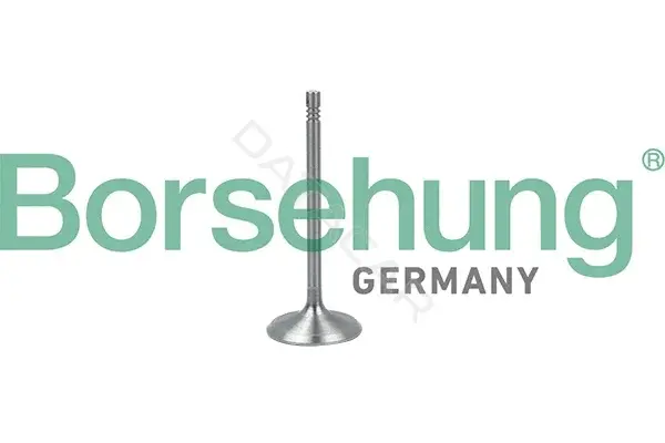 Впускной клапан Borsehung B19017