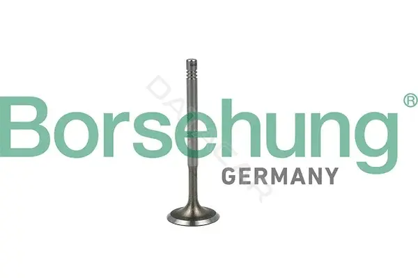Впускной клапан Borsehung B19019