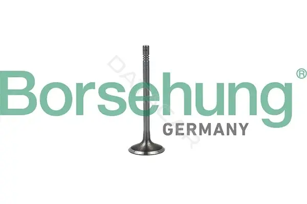 Впускной клапан Borsehung B19023