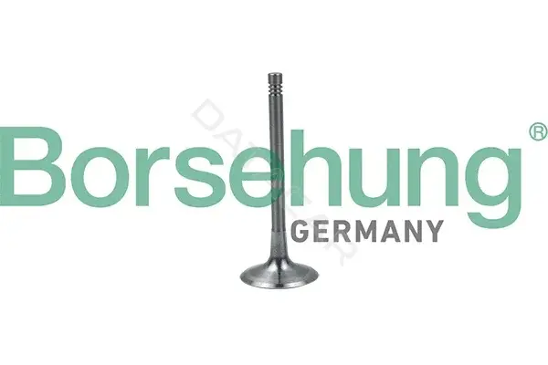 Впускной клапан Borsehung B19024