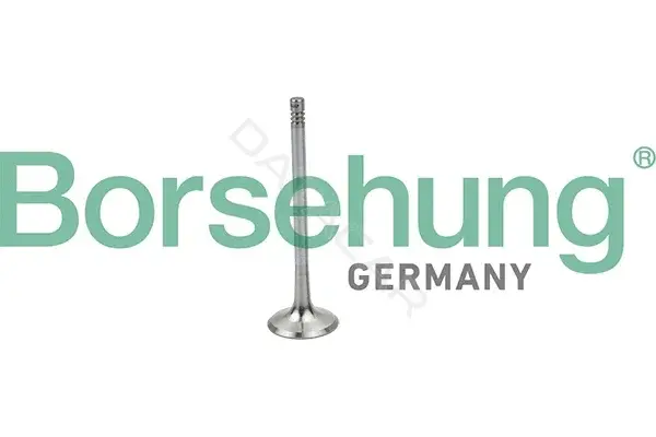 Впускной клапан Borsehung B19025