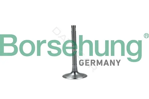 Впускной клапан Borsehung B19028