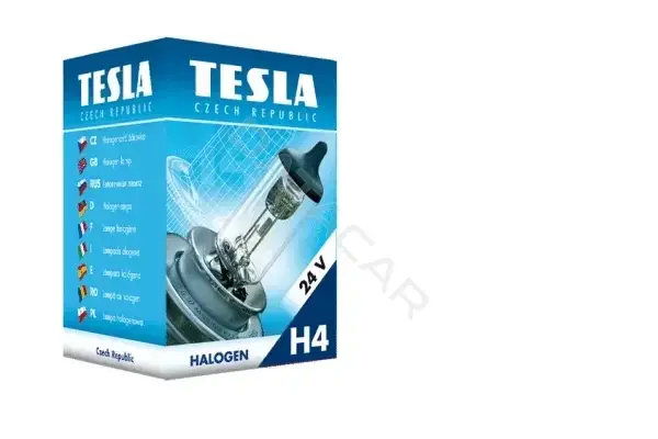 Лампочки TESLA B10402