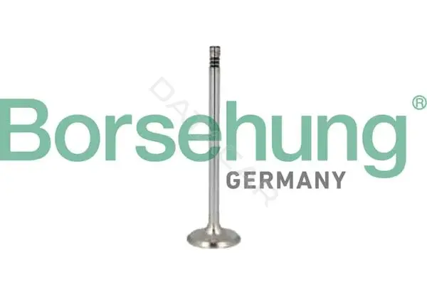 Выпускной клапан Borsehung B10350