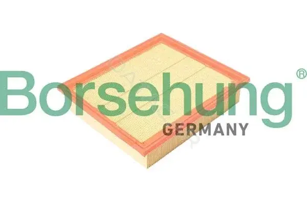 Воздушный фильтр Borsehung B12365